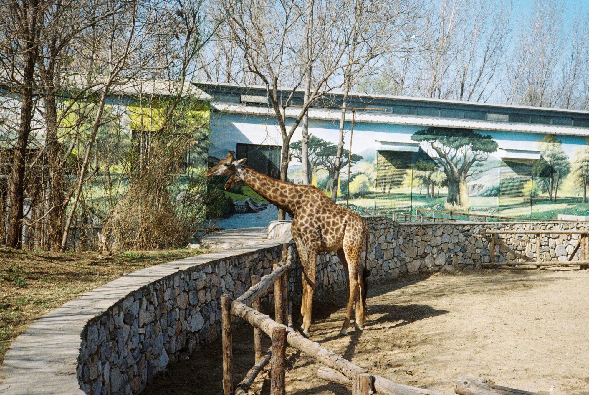 krzhck-S1EdZMapYHI-unsplash