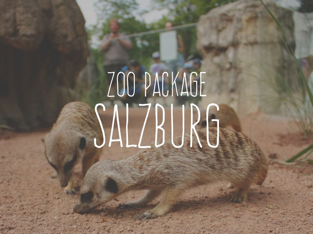 harry’s Zoo Package